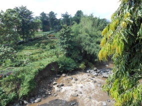 The River behind the University.